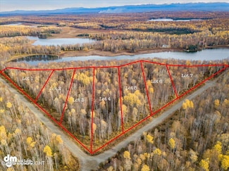 L1 N Little Lonely Lake Rd, Willow, AK 99688