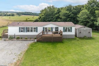 382 Nuce Rd, Masontown, WV 26542