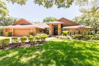1432 Hounds Hollow Ct, Lutz, FL 33549