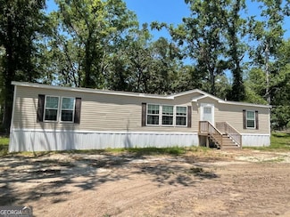 4198 Elza District Rd, Reidsville, GA 30453