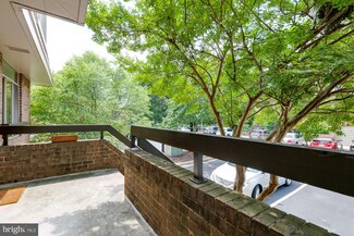 1619 S Hayes St Unit 2, Arlington, VA 22202