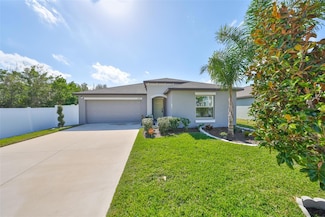 11323 Misty Moss Dr, Wimauma, FL 33598