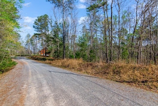 1.02 AC- Monitor Dr, Ellijay, GA 30540
