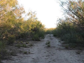 FM 395 Out of Area, Crystal City, TX 78839