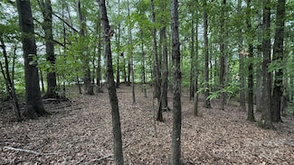 0 W College Ave, Shelby, NC 28152