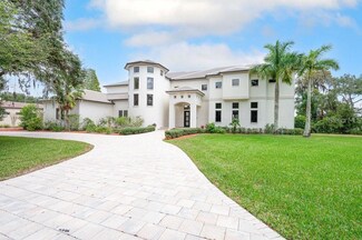 17105 Journeys End Dr, Odessa, FL 33556
