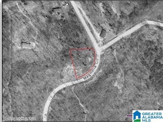 0 Magnolia Cir Unit 10 21412505, Cropwell, AL 35054