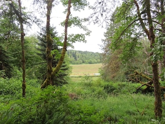 21720 Zenkner Valley Rd SW, Centralia, WA 98531