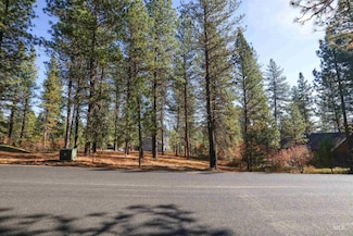 TBD Columbine, New Meadows, ID 83654