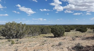 Chambers Unit AZ 86502, Saint Johns, AZ 85936