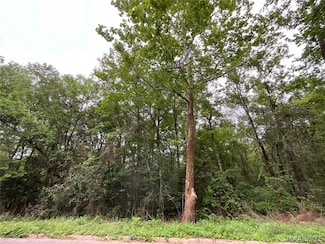 206 Yellowleaf Dr, Enterprise, AL 36330