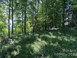 28 Berry Ln Unit C-11, Black Mountain, NC 28711