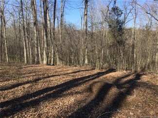 1082 Quantz Ln, Rockwell, NC 28138