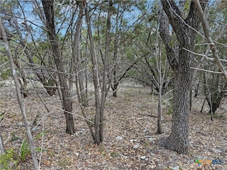 1081 Dog Leg Ln, Spring Branch, TX 78070