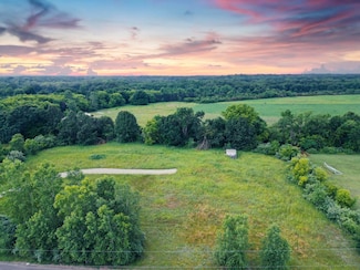 2400 Skeeter Ln, Dansville, MI 48819