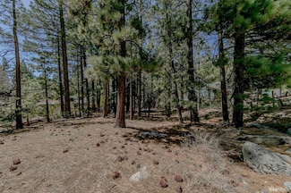 1442 Price Rd, South Lake Tahoe, CA 96150