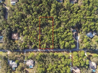 1388 W Redding St, Hernando, FL 34442