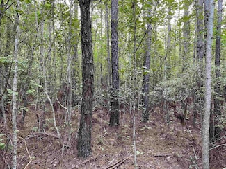 TBT Hemingway Hwy Unit Rachael Rd, Hemingway, SC 29554