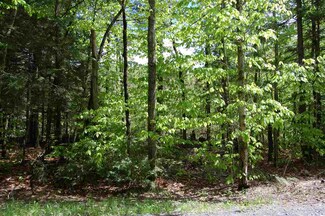 14 Trillium Ln, Grantham, NH 03753
