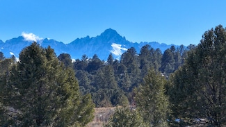 0 Jumping Tree Trail Unit 43167, Ridgway, CO 81432