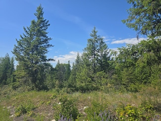3715 Hill Loop Rd, Kettle Falls, WA 99141