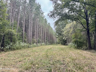 0 Yandell Rd Unit 24924014, Gluckstadt, MS 39110