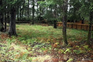 0 N Forrest St Unit NWM2306653, Westport, WA 98595