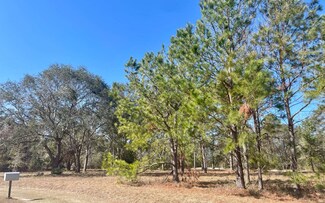 TBD 158th Terrace, McAlpin, FL 32062