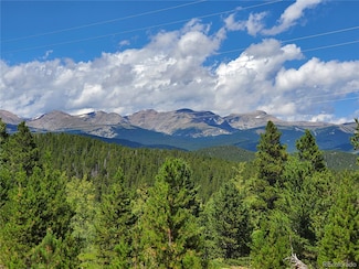 01 S Spring Gulch Rd Unit 1961-051-00-612, Idaho Springs, CO 80452