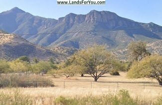 8065 S Vato Ln, Hereford, AZ 85615