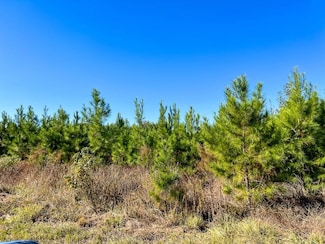 0 Fm 787 Unit 25478159, Votaw, TX 77376