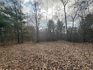 10.76 Acres Valerie Dr, Deer Lodge, TN 37726