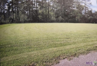 0 Payne Rd, Ethel, LA 70730