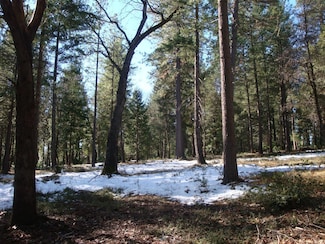 0000 Foresthill Rd, Foresthill, CA 95631