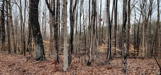 0 Jeremy Creek Rd, Sutherlin, VA 24594