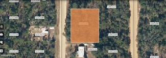 000 Brett Ave, Interlachen, FL 32148