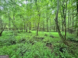 0 Cedar Ln Unit 10530523, Danielsville, GA 30633