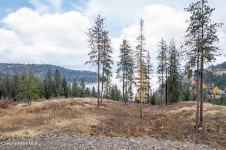 NNA Red Hawk Landing, Sagle, ID 83860