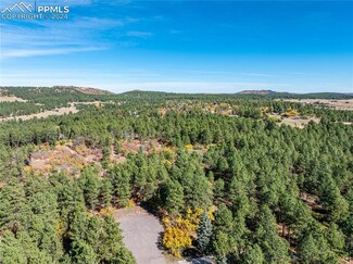 19725 Via Verde Ln, Woodmoor, CO 80132