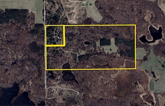 21632 90th Ave, Evart, MI 49631