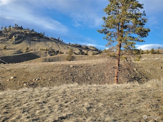 123 Old Tressle Rd, Oroville, WA 98844
