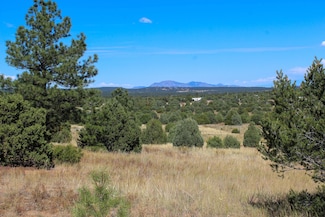 10398 New Mexico 337, Tijeras, NM 87059