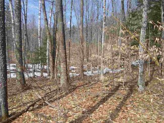 0 Colony Mine Unit 4683878, Alstead, NH 03602
