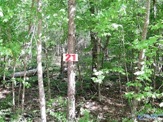 Lot 21 Harbor Loop, Jasper, AL 35504