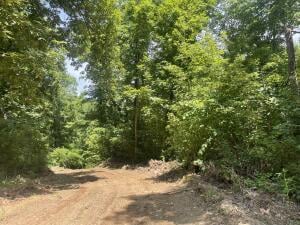0 Tract 11 Terrapin Rd Unit 145606, Harrison, AR 72601