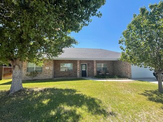 1603 S Leon Ave, Monahans, TX 79756