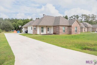 28675 Lindsey Erin Ln, Albany, LA 70711