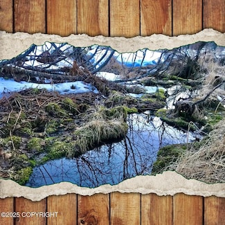 14235 Caribou Hills Rem SW, Ninilchik, AK 99639