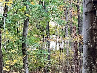 000 Sandy Beach Rd, Springville, TN 38256