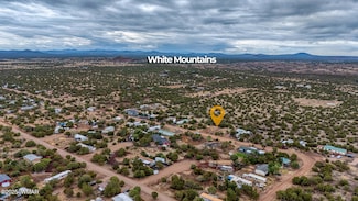 8429 Snowflake Cir, Show Low, AZ 85901